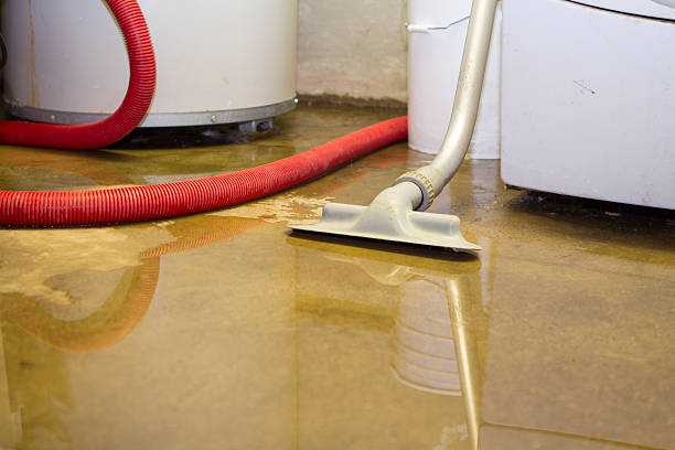 Best Commercial water damage restoration  in West Mifflin, PA