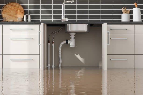 Best Water damage restoration near me  in West Mifflin, PA